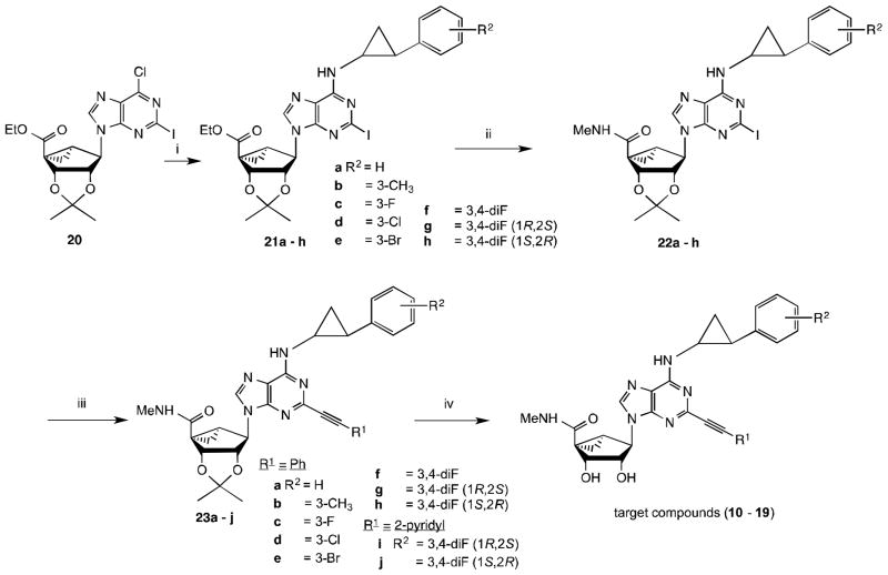 Scheme 1