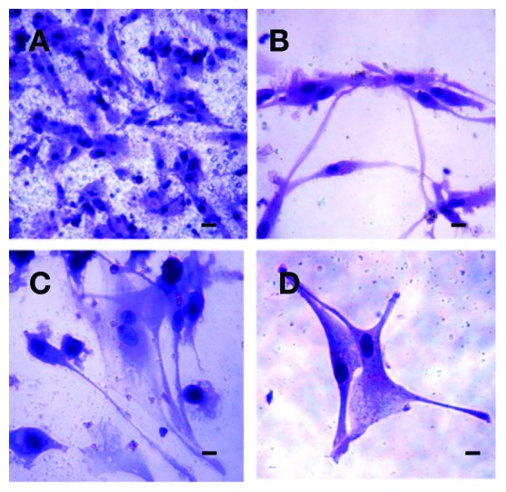 Fig. 2.