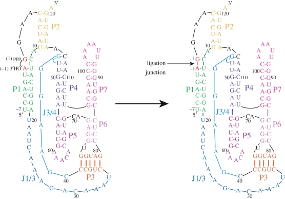 Figure 1.