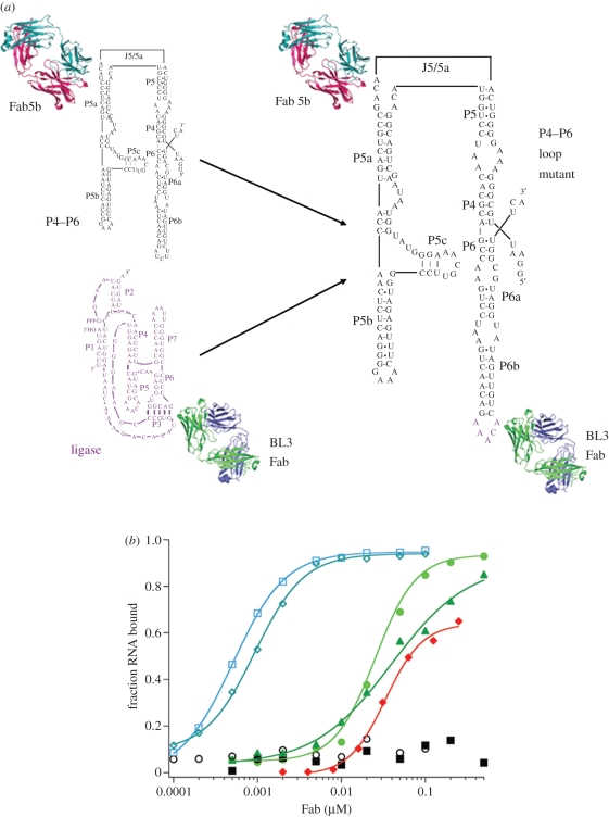 Figure 2.