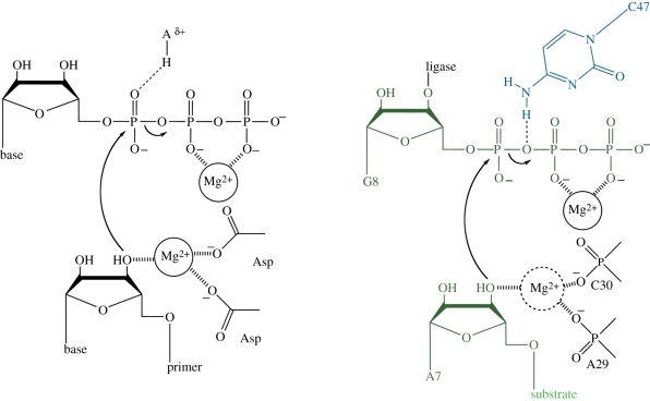 Figure 7.