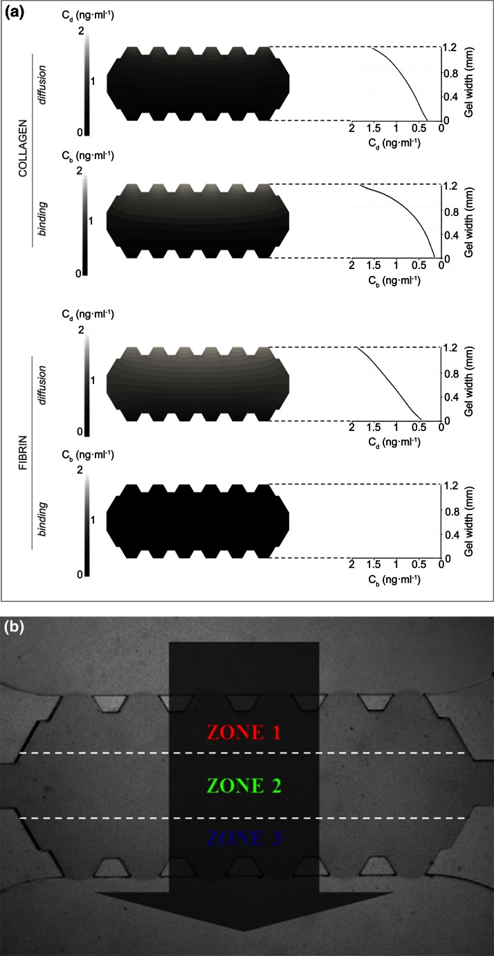 Figure 5