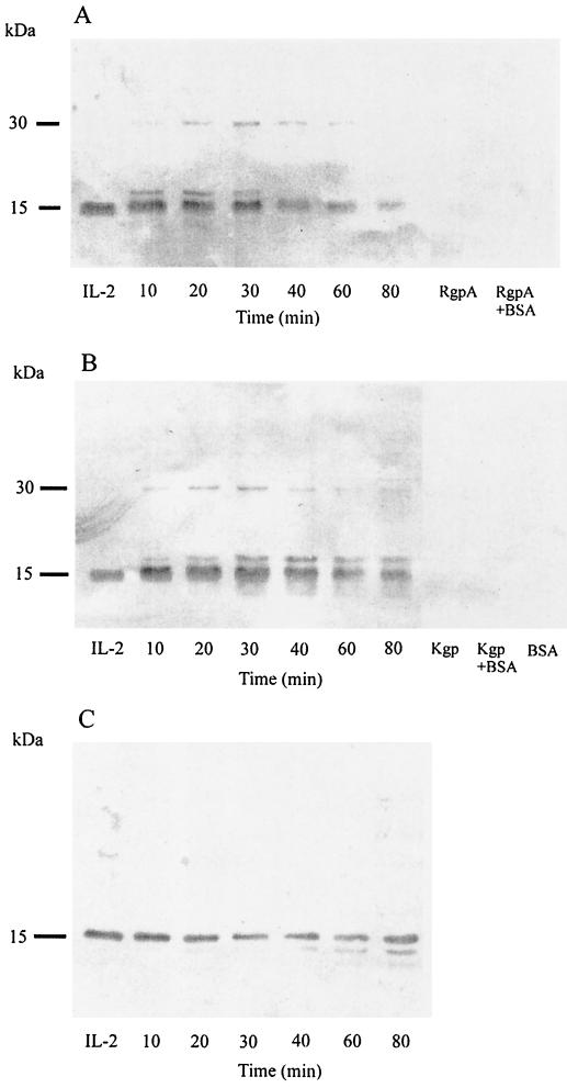 FIG. 8