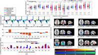 graphic file with name HBM-44-5167-g007.jpg