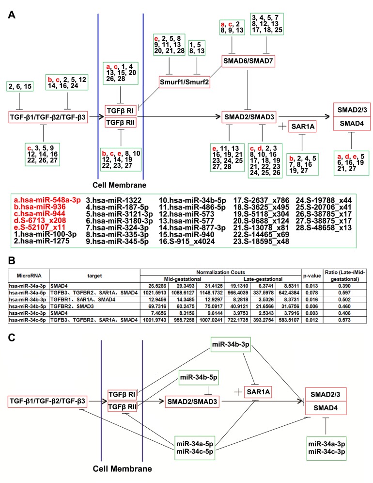 Fig 4