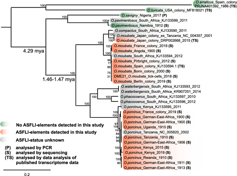 Fig. 4