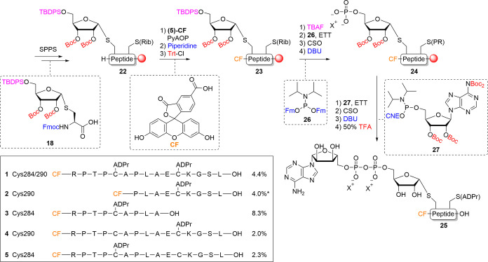 Scheme 3