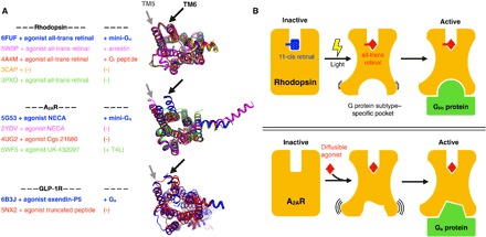 Fig. 6