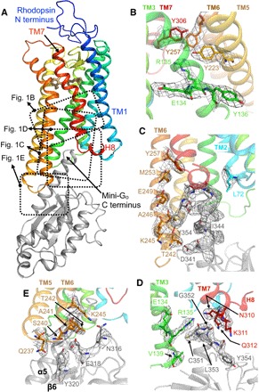 Fig. 1