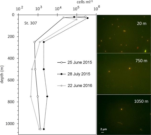 Fig. 2