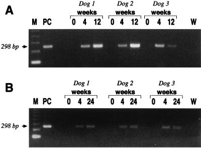 FIG. 4