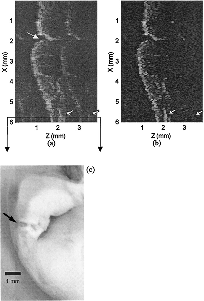 Fig. 5