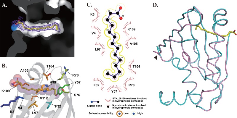 Fig 4