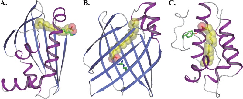 Fig 5