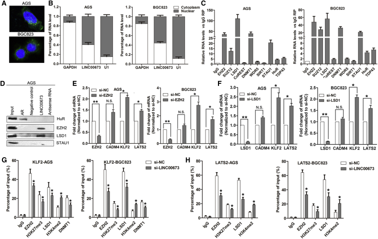 Figure 6