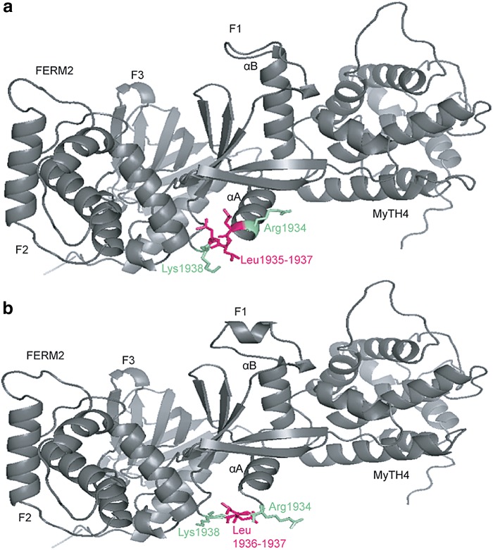 FIG. 2.