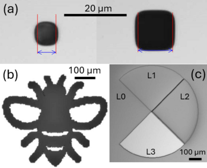 Figure 9