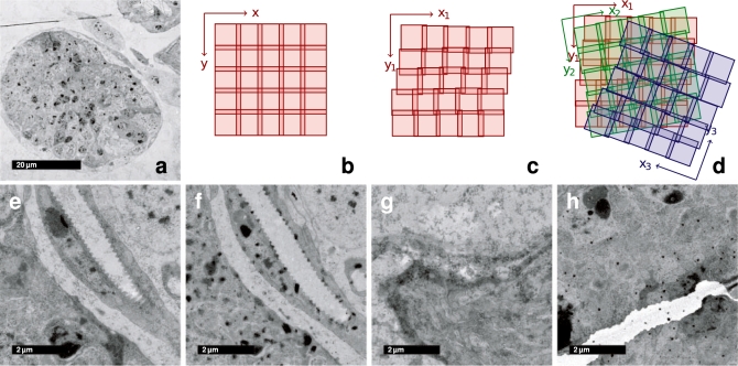 Fig. 1.