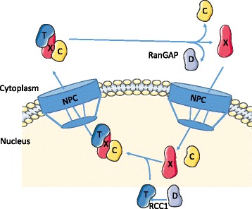 Fig. 1