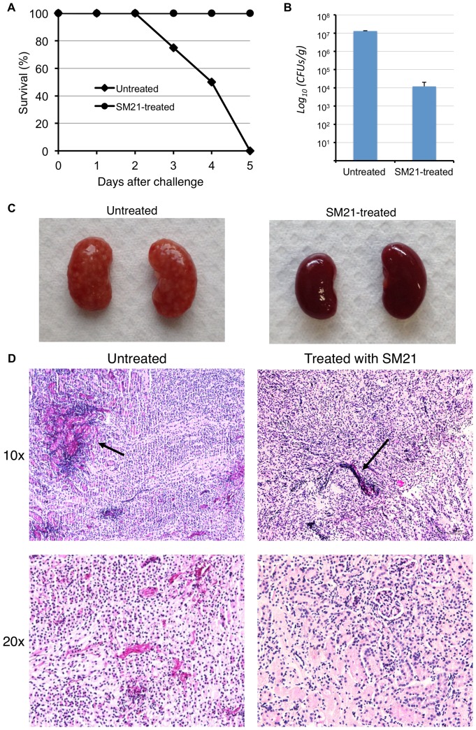 Figure 12