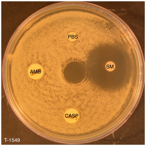 Figure 9