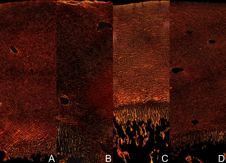 Fig 5