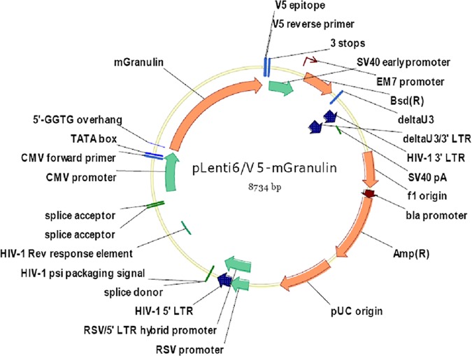 Fig 1