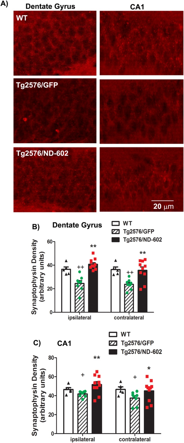 Fig 8