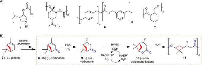 Scheme 2