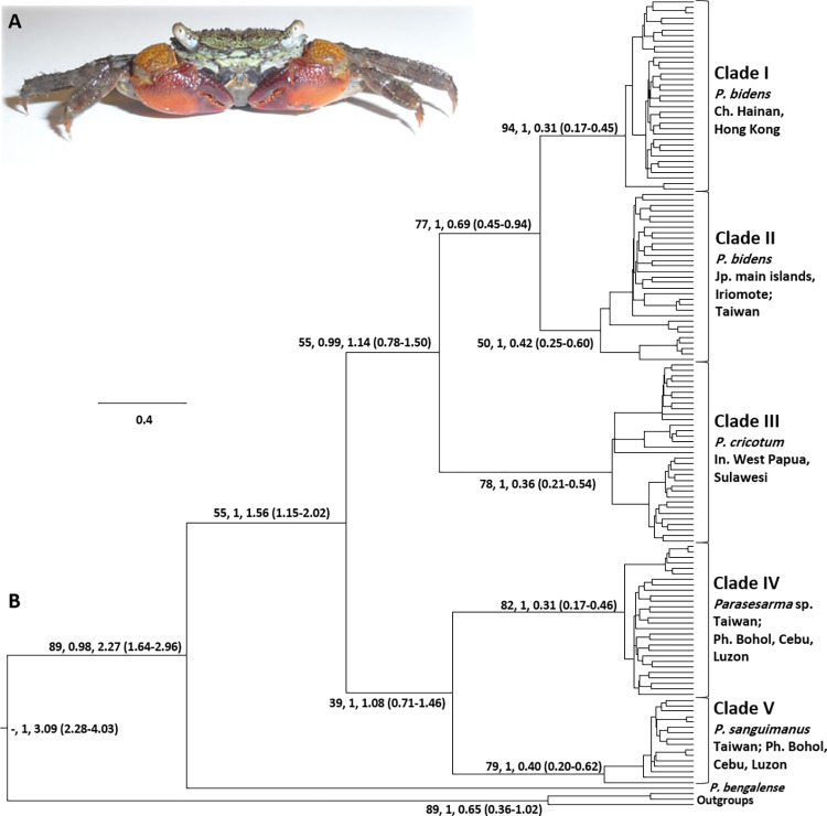 Fig 2