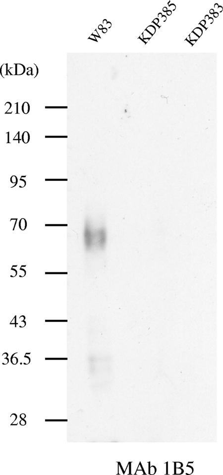 FIG. 6.