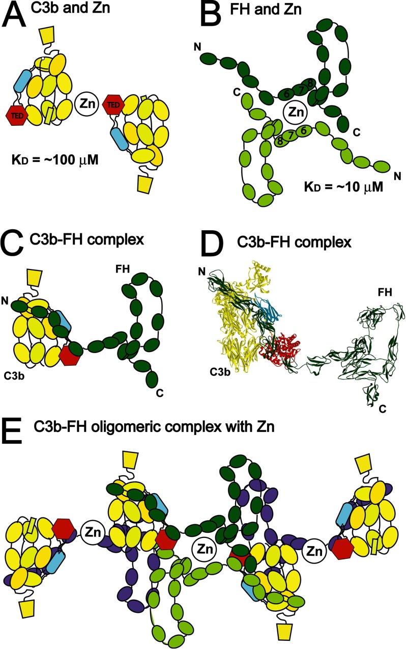 FIGURE 9.