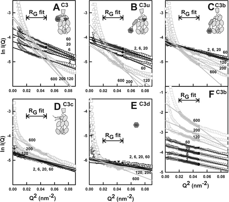 FIGURE 4.