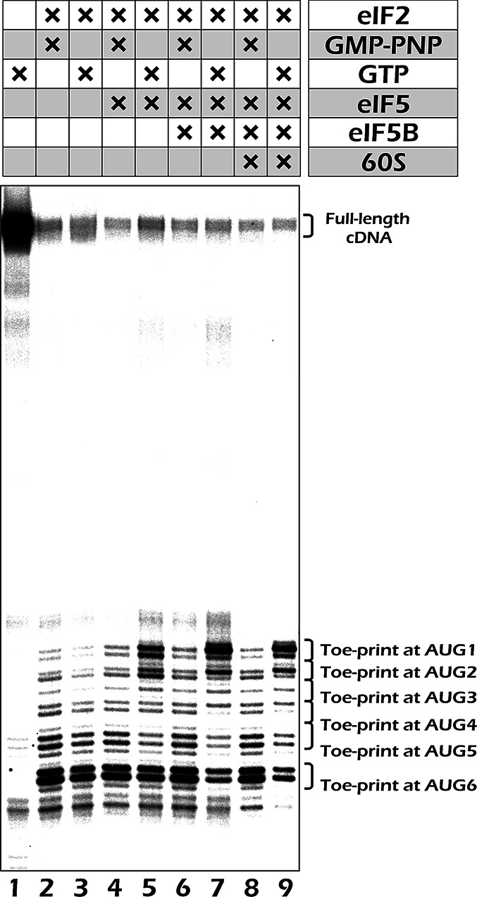 Figure 4.