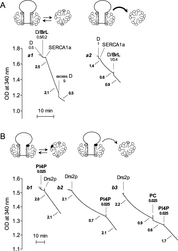 Fig 4