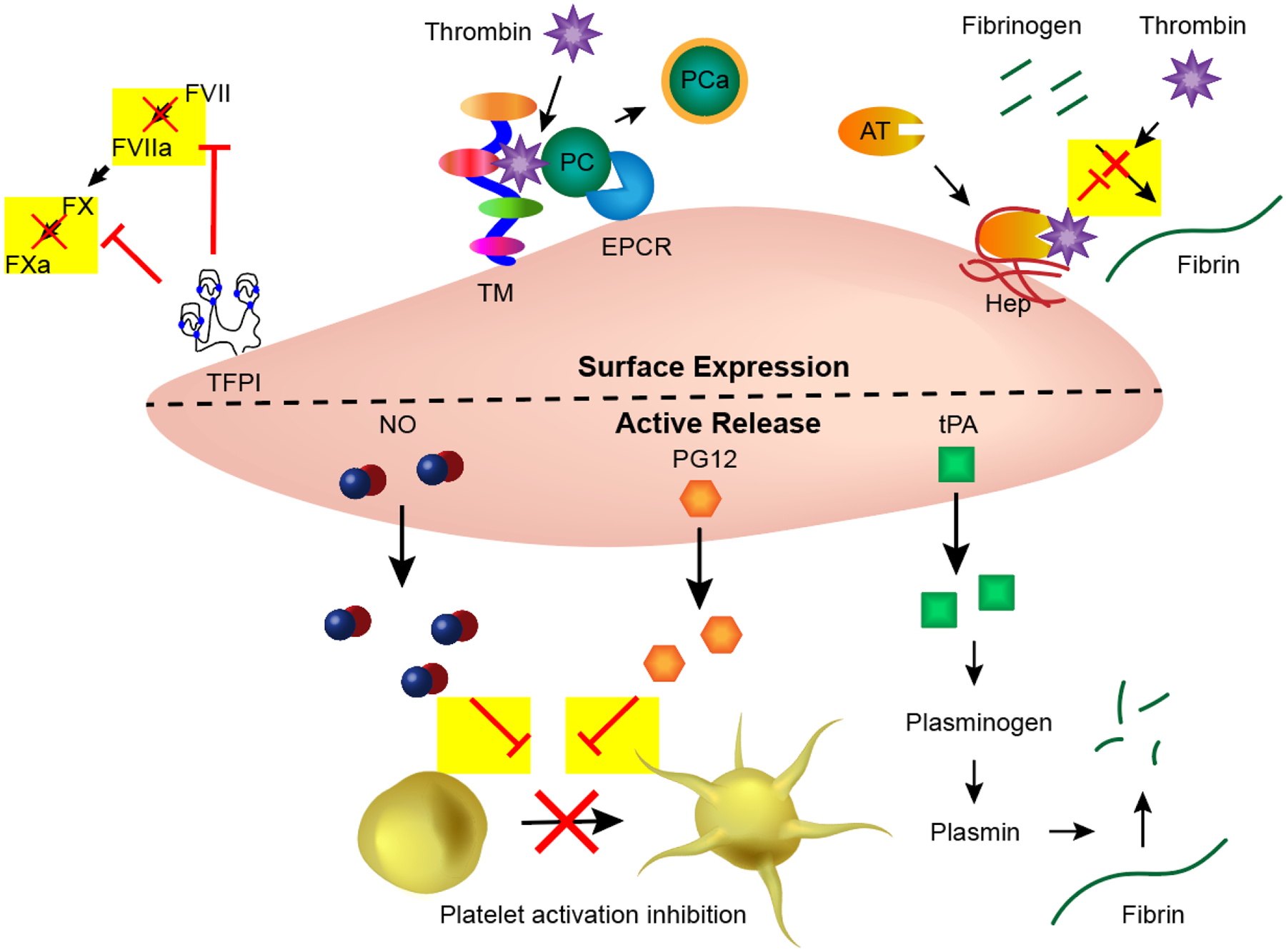 Figure 2: