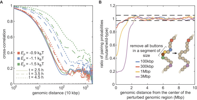 Figure 2—figure supplement 3.