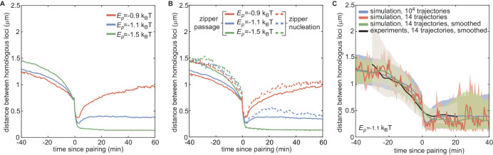 Figure 5—figure supplement 2.