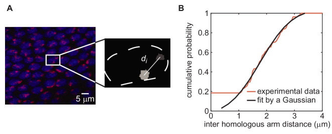 Figure 4—figure supplement 2.