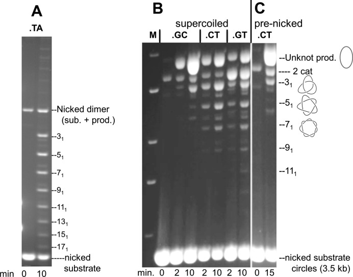 Figure 3.