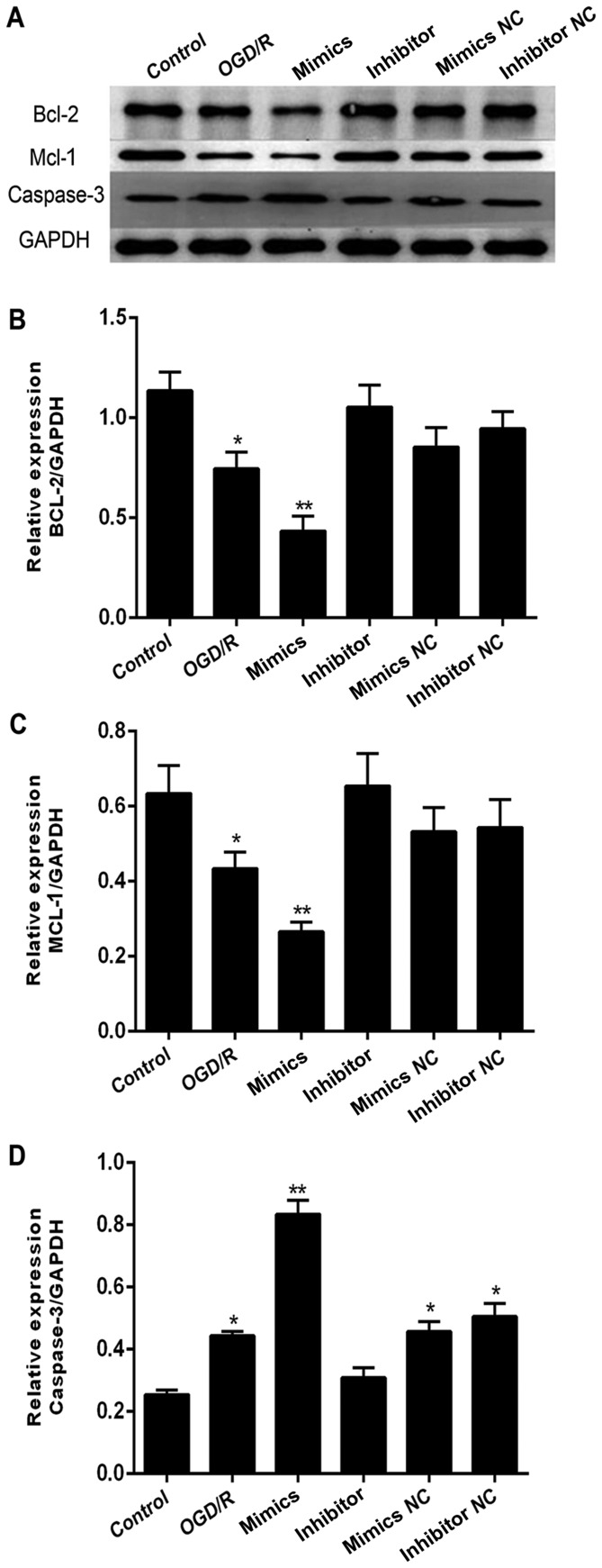 Figure 5.