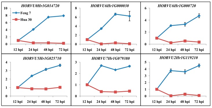 Figure 11