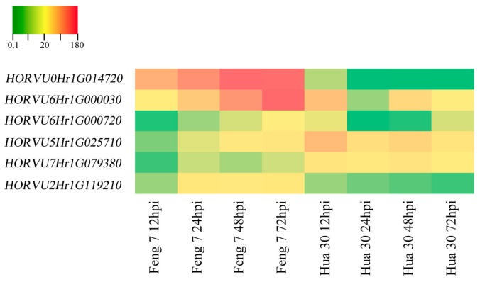 Figure 10