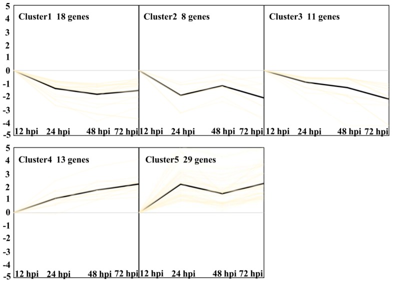 Figure 9