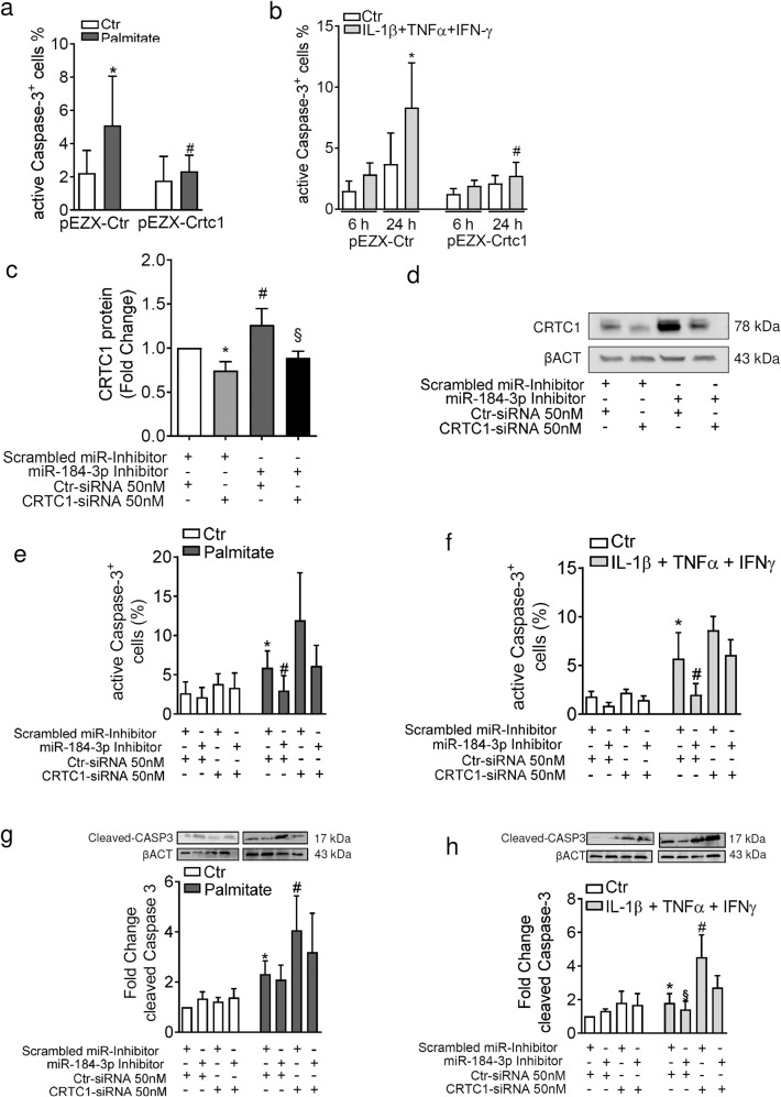 Reduced miR-184-3p expression protects pancreatic β-cells from ...