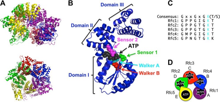 FIGURE 1.