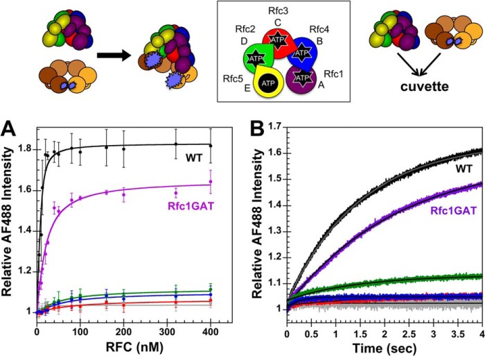 FIGURE 4.