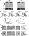 Fig. 2.