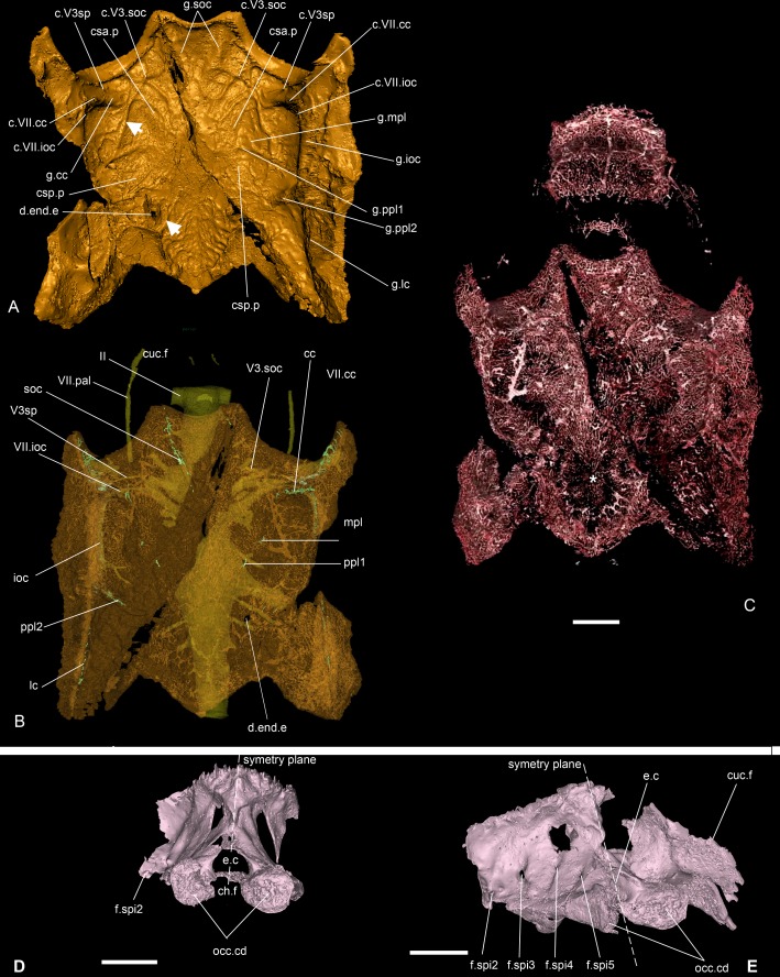 Fig 3