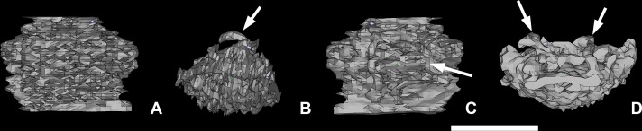 Fig 14